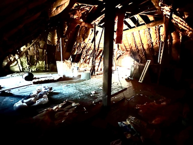325 E Mansfield St, Bucyrus, OH 44820 - view of unfinished attic