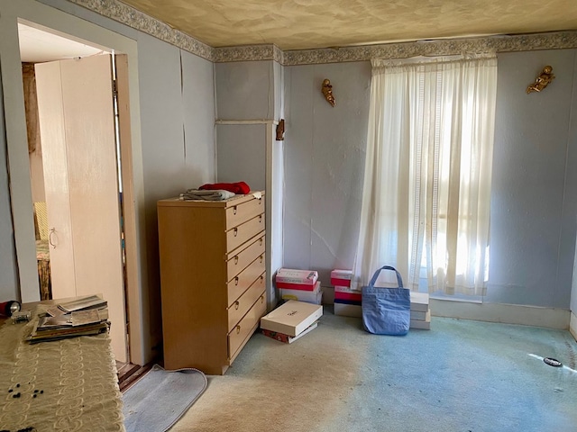 misc room featuring light carpet