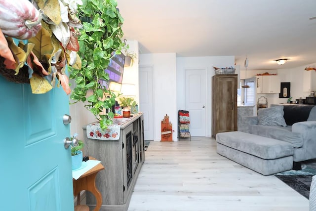 living room with light wood-type flooring