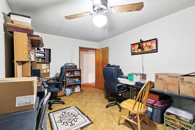 2307 Peterson Rd, Mansfield, OH 44903 - photo 21