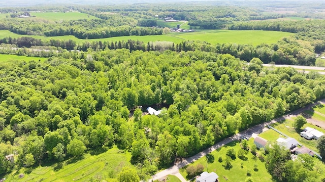 609 Mcbride Rd, Mansfield, OH 44905 - bird's eye view of a forest
