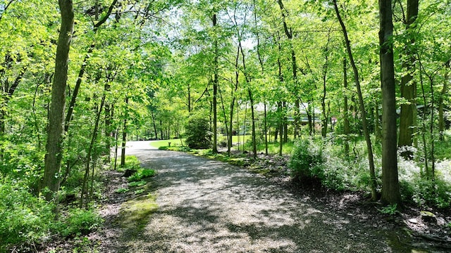 609 Mcbride Rd, Mansfield, OH 44905 - view of street featuring a forest view