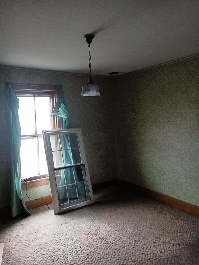 unfurnished room featuring carpet flooring and crown molding