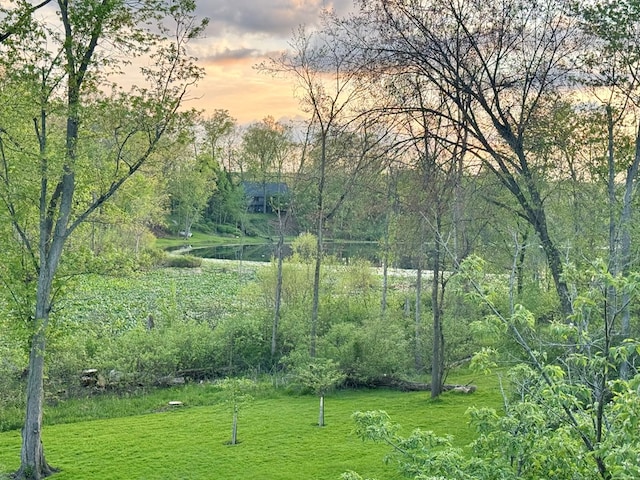 yard at dusk featuring a water view and a yard