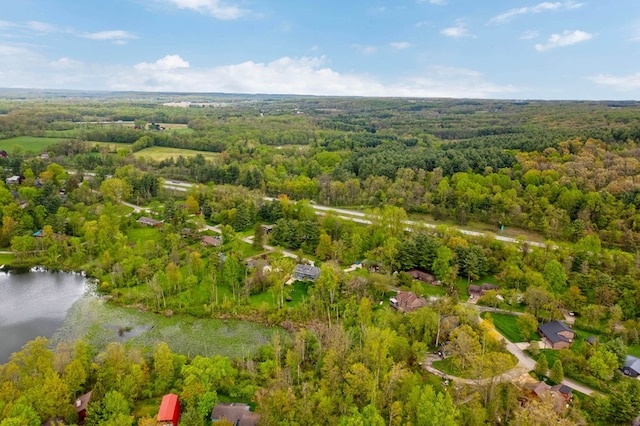 aerial view of property's location featuring a forest and a large body of water