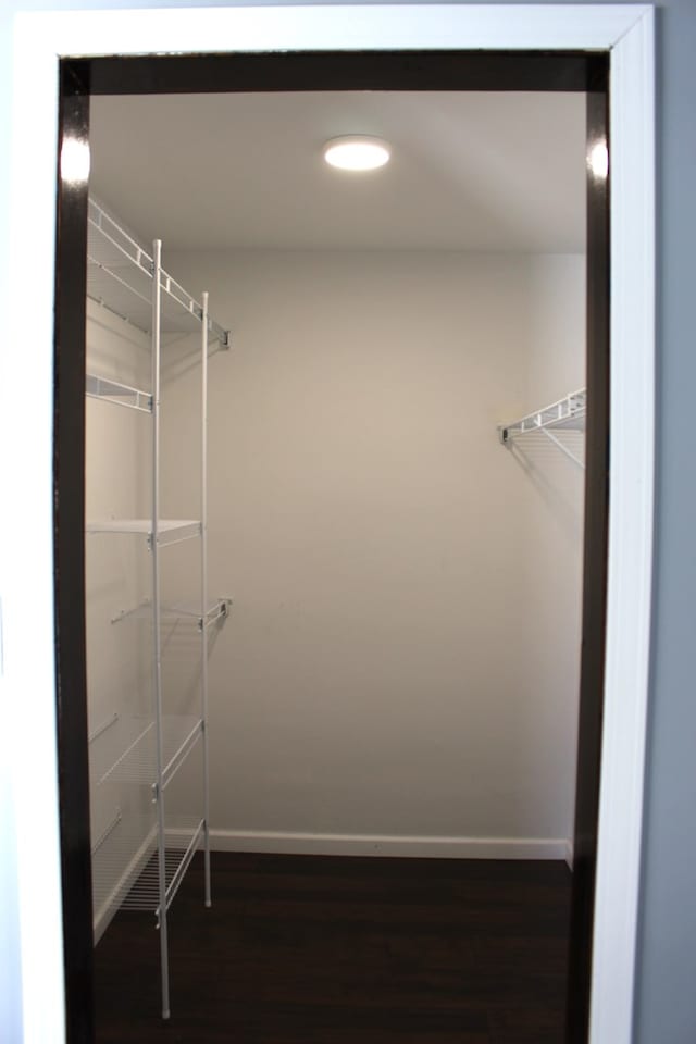 walk in closet with wood finished floors