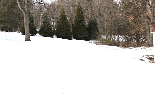 snowy landscape featuring a view of trees