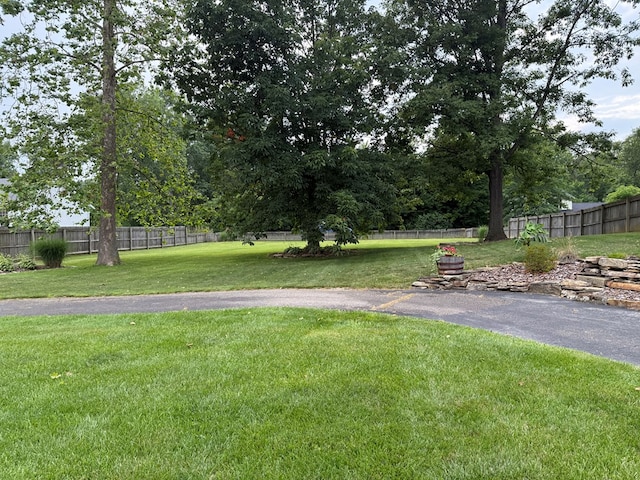 380 Tidd Dr, Galion, OH 44833 - view of yard