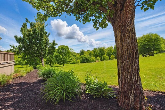 3545 Willow Hill Rd, Lexington, OH 44904 - photo 49