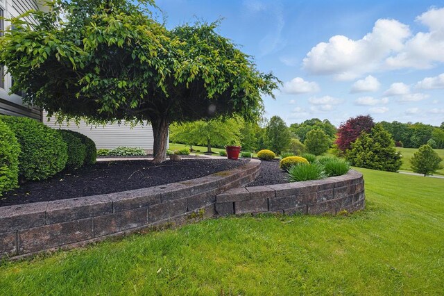 3545 Willow Hill Rd, Lexington, OH 44904 - photo 56