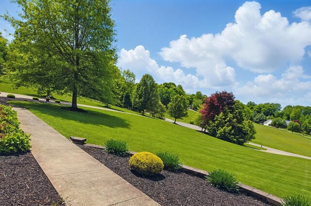 3545 Willow Hill Rd, Lexington, OH 44904 - photo 57