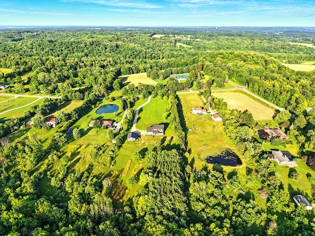 1360 Lexington Ontario Rd, Mansfield, OH 44904 - drone / aerial view of a forest and a large body of water