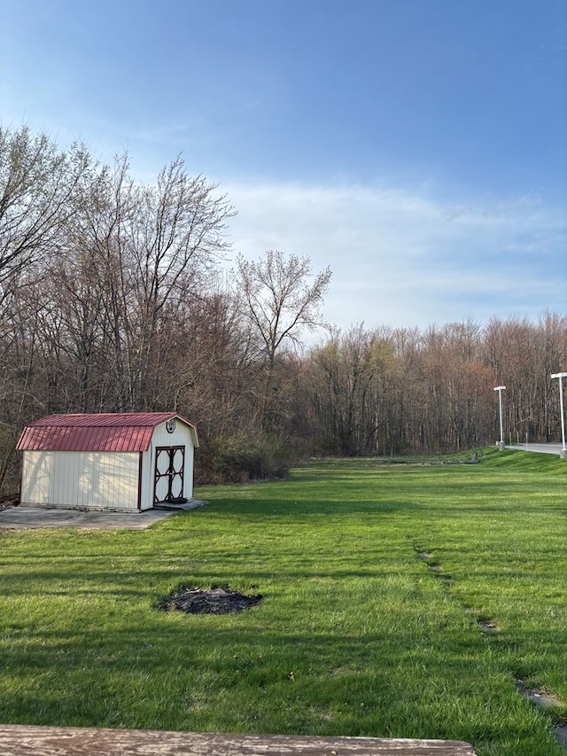view of yard featuring an outdoor structure and a storage shed