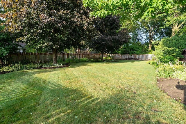 452 Pleasant Ln, Bucyrus, OH 44820 - photo 75