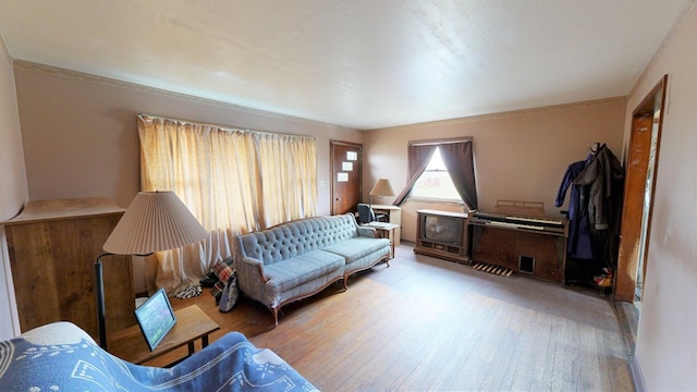 living room with light wood-type flooring