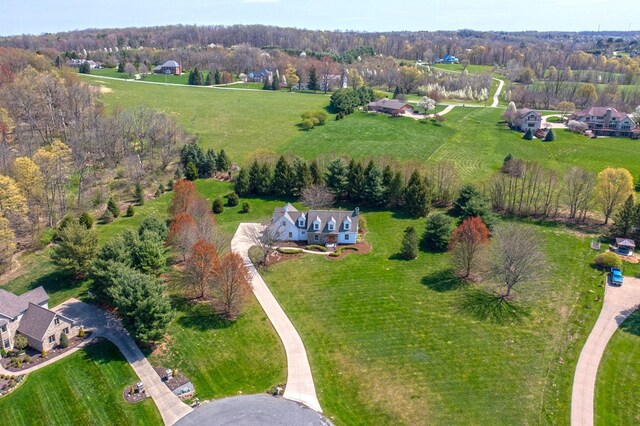 drone / aerial view