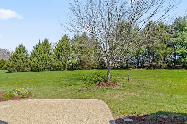 view of yard