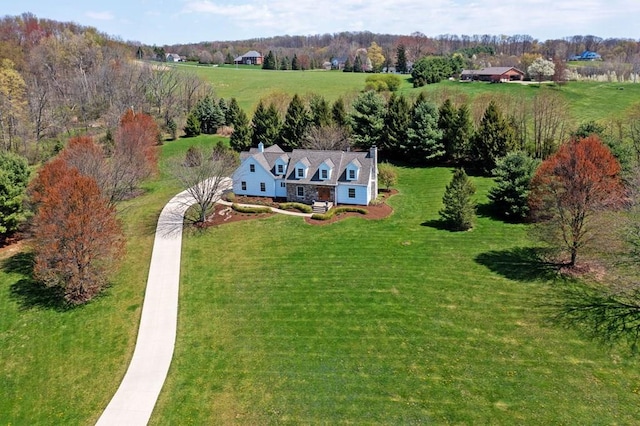 drone / aerial view