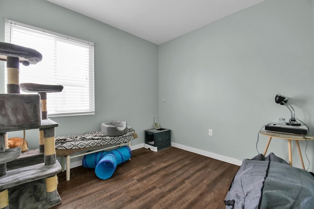 misc room with dark hardwood / wood-style flooring