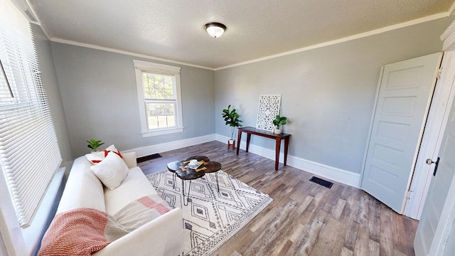 living area with a textured ceiling, light hardwood / wood-style flooring, and crown molding