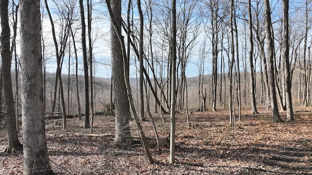 view of local wilderness