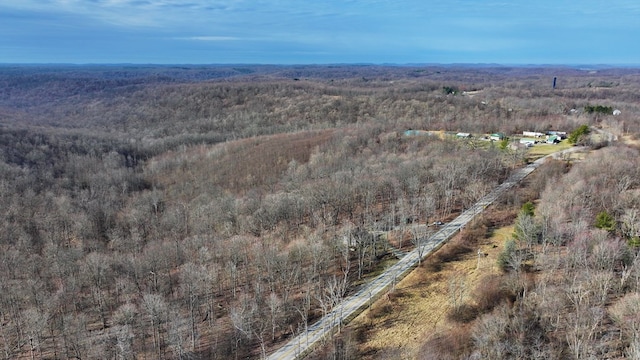 aerial view with a wooded view