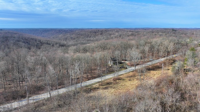 view of mountain feature with a forest view