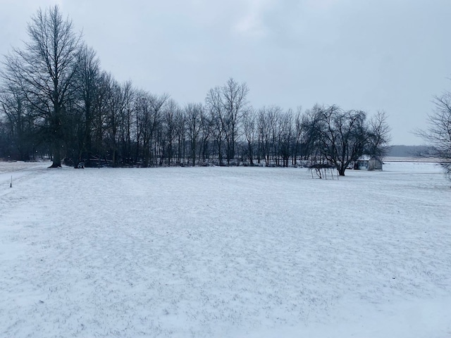 view of yard covered in snow