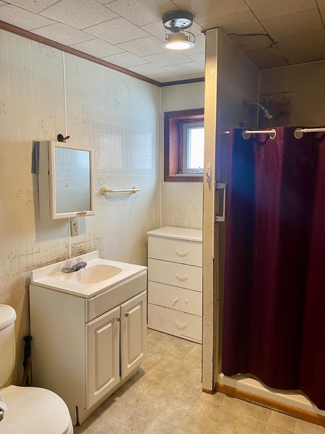 bathroom with vanity, toilet, and walk in shower