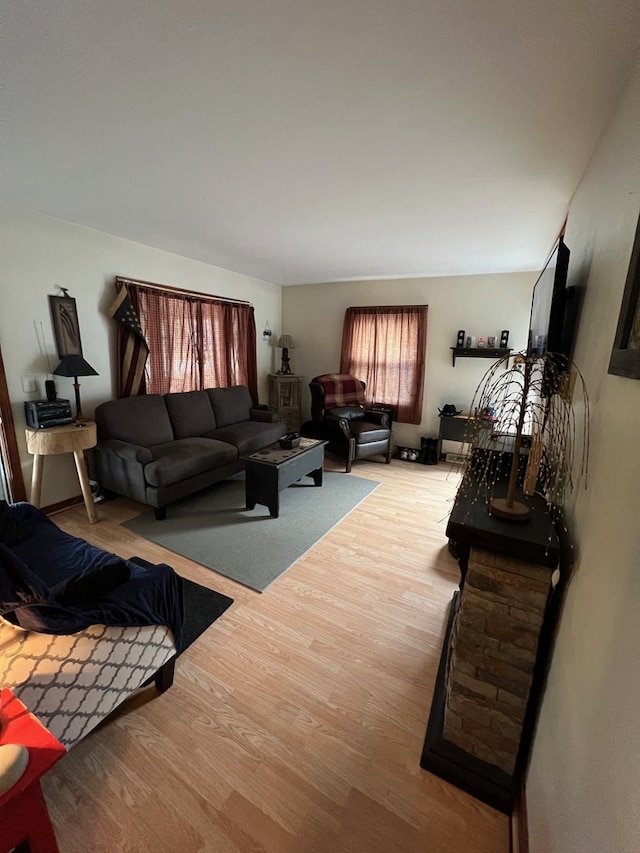 living room with wood-type flooring