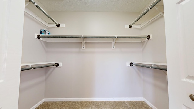 spacious closet featuring carpet floors