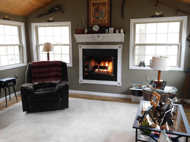 7326 State Route 19 Unit U8 L264-265, Mount Gilead, OH 43338 - living area featuring lofted ceiling, a warm lit fireplace, and wooden ceiling
