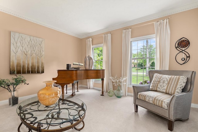 2313 Woodland Park Dr, Ontario, OH 44903 - living area with carpet and crown molding