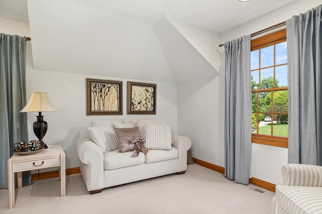 2313 Woodland Park Dr, Ontario, OH 44903 - living area with carpet and lofted ceiling