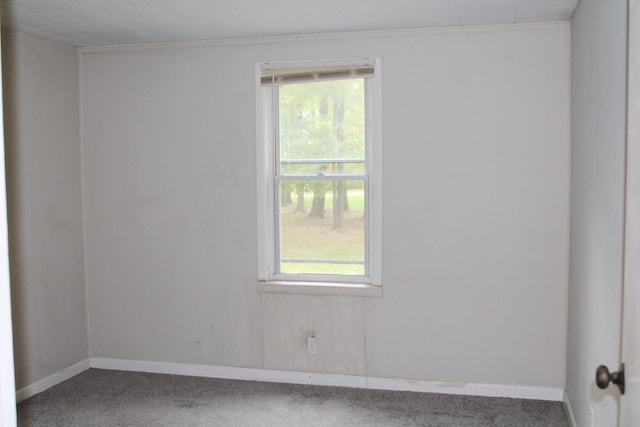 unfurnished room featuring carpet flooring and crown molding