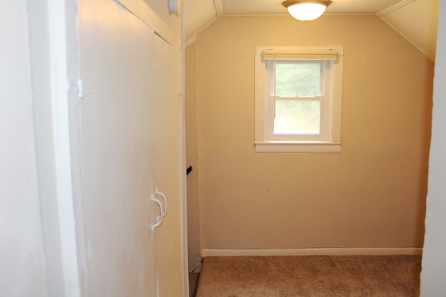 additional living space with carpet flooring and lofted ceiling