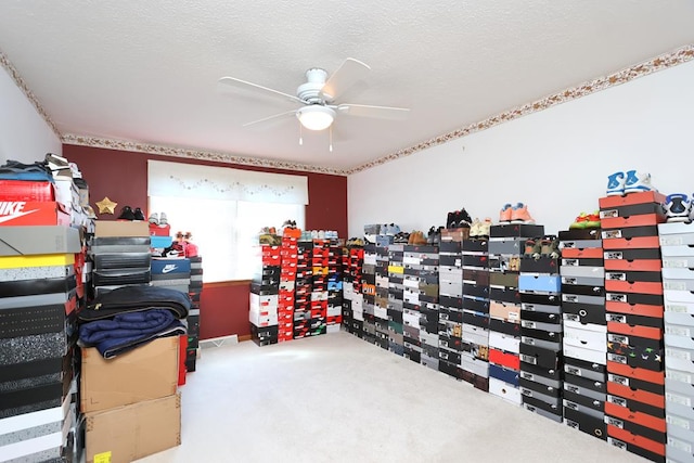 storage room with a ceiling fan