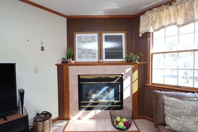 living area featuring baseboards, a fireplace, and crown molding