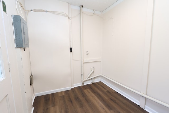 washroom featuring dark hardwood / wood-style flooring and electric panel