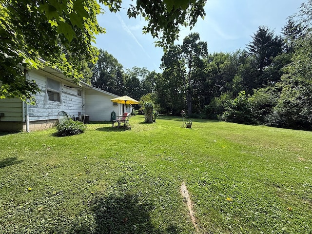 210 Water St, Tiro, OH 44887 - photo 7