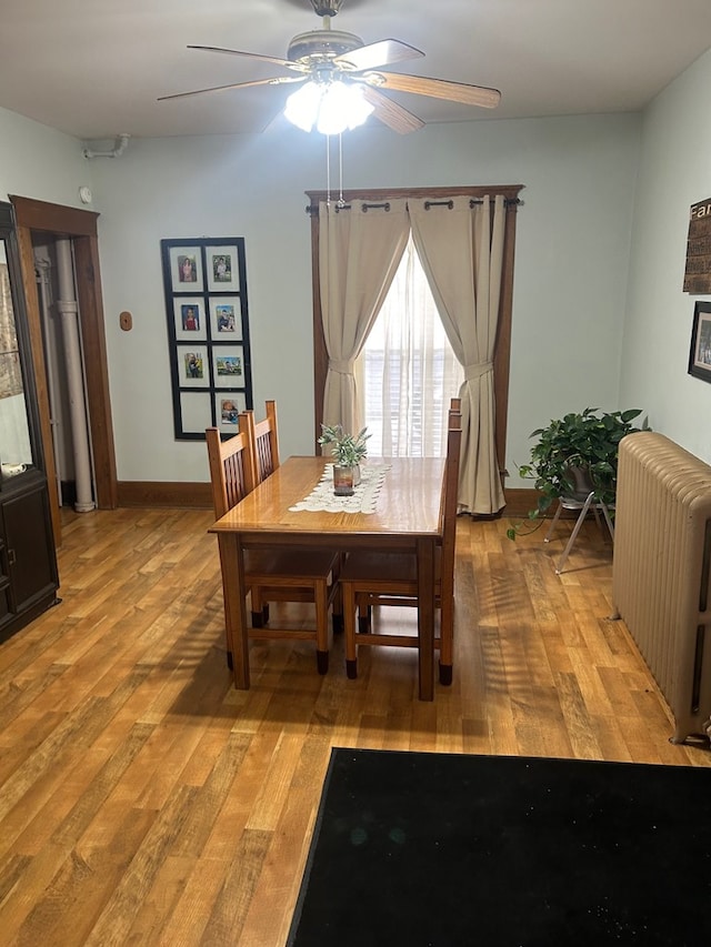 dining area with radiator heating unit, light wood-type flooring, and ceiling fan