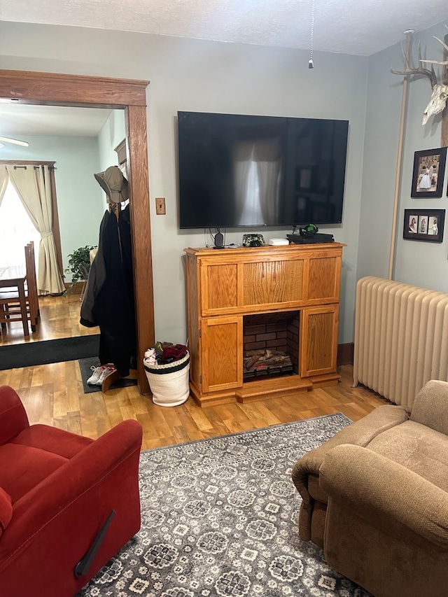 living room with ceiling fan, light hardwood / wood-style floors, and radiator