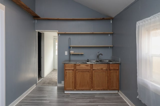 bar with dark wood-type flooring and sink