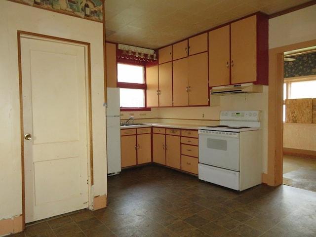 875 E Walnut St, Galion, OH 44833 - kitchen with white appliances, under cabinet range hood, healthy amount of natural light, and a sink