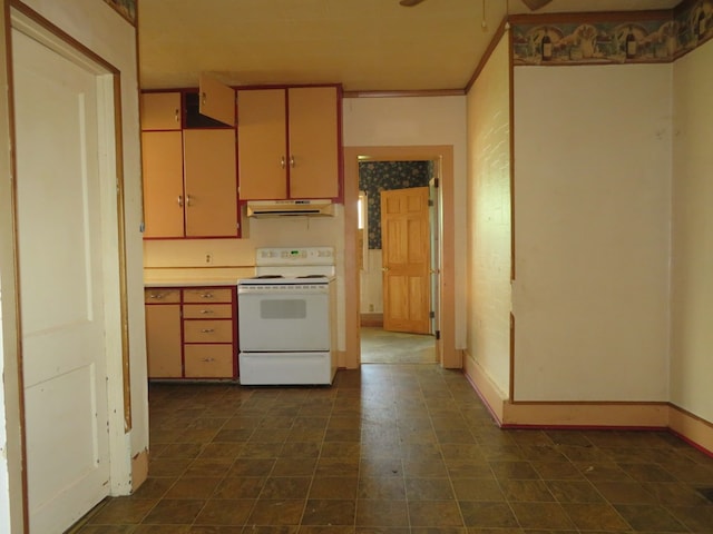 875 E Walnut St, Galion, OH 44833 - kitchen featuring white electric range, under cabinet range hood, ceiling fan, light countertops, and baseboards