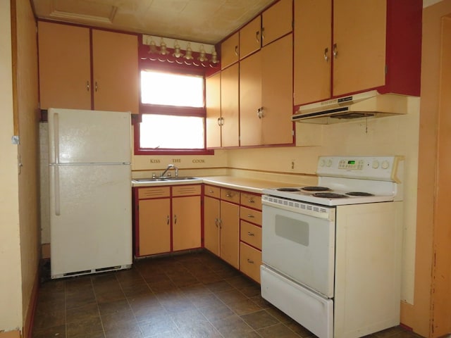 875 E Walnut St, Galion, OH 44833 - kitchen with white appliances, under cabinet range hood, a sink, and light countertops