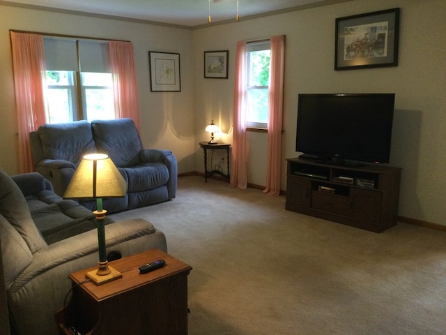 1009 Twp Rd Unit 2156, Ashland, OH 44805 - carpeted living area featuring baseboards and ornamental molding