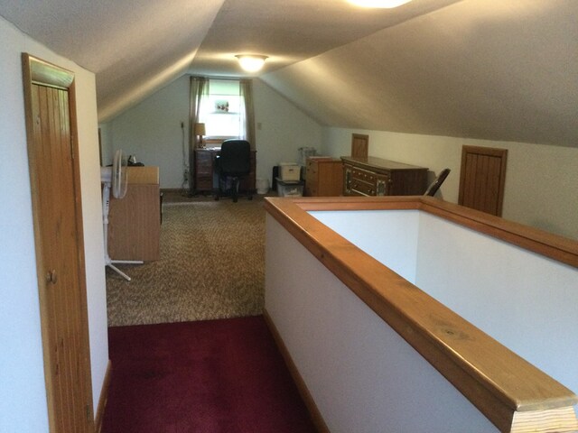 1009 Twp Rd Unit 2156, Ashland, OH 44805 - hall featuring carpet floors and lofted ceiling