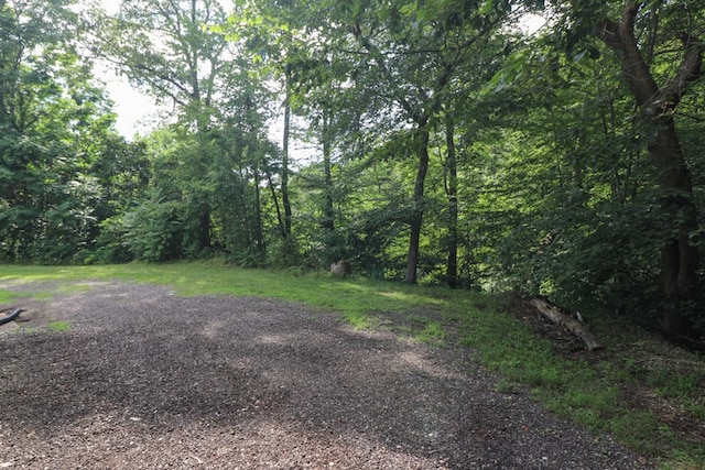 1303 E Park Ave, Mansfield, OH 44905 - photo 62