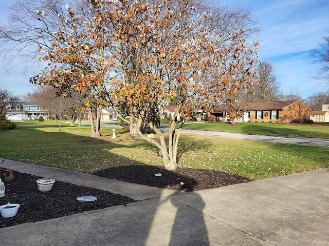 view of home's community featuring a lawn